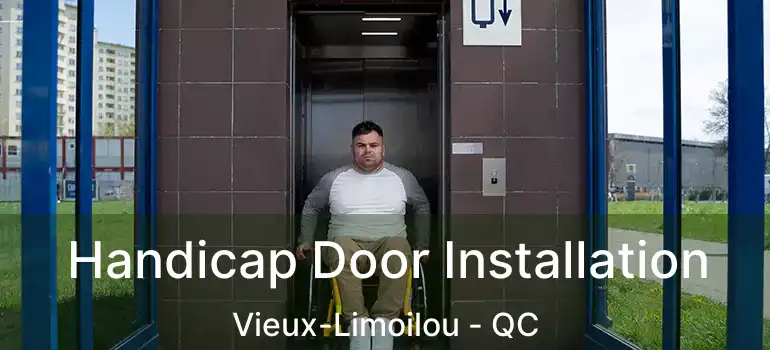  Handicap Door Installation Vieux-Limoilou - QC