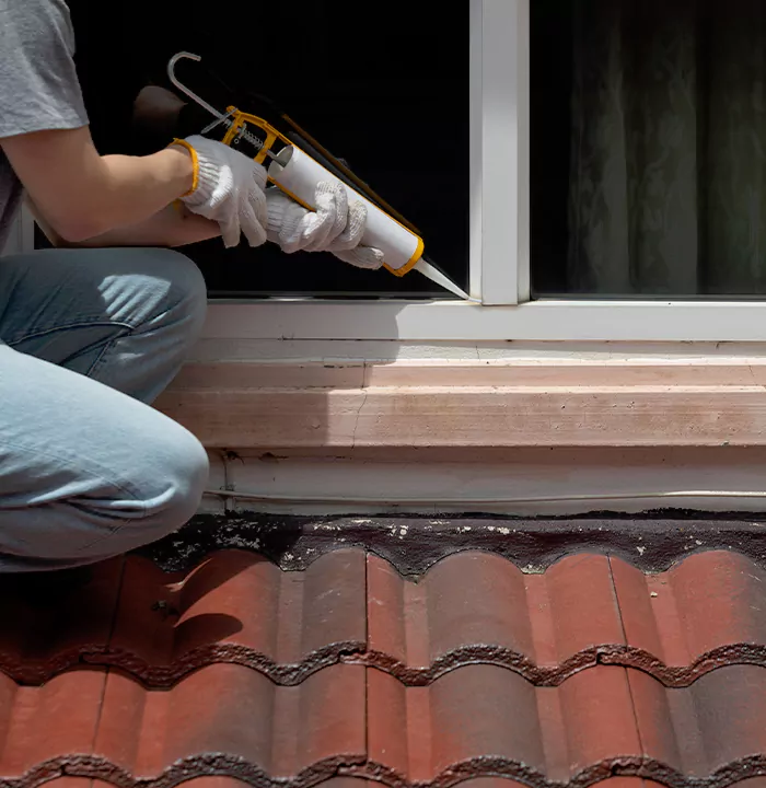 Roof Window Services in Quebec City, Quebec