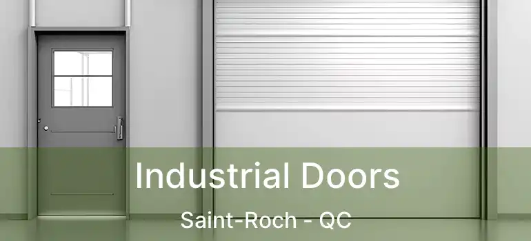  Industrial Doors Saint-Roch - QC