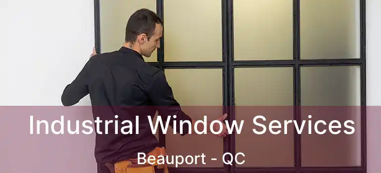  Industrial Window Services Beauport - QC