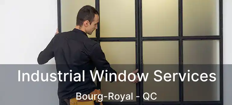  Industrial Window Services Bourg-Royal - QC