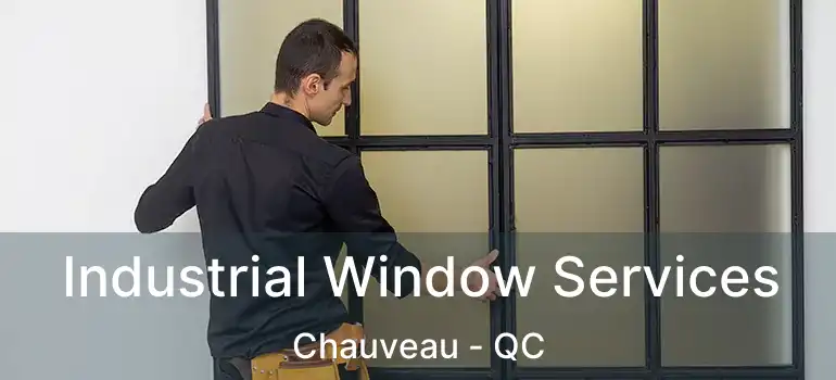  Industrial Window Services Chauveau - QC