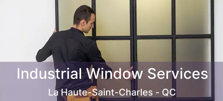  Industrial Window Services La Haute-Saint-Charles - QC