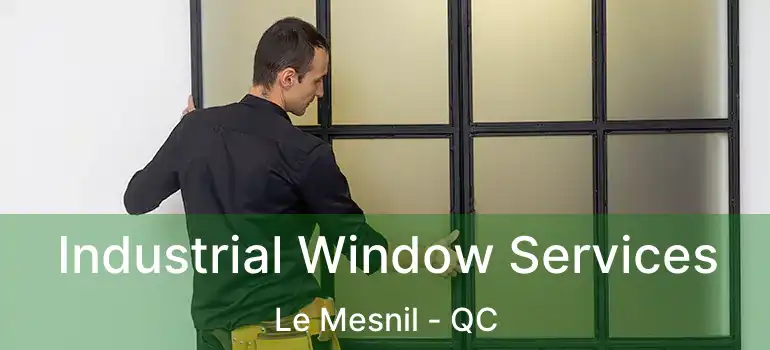  Industrial Window Services Le Mesnil - QC