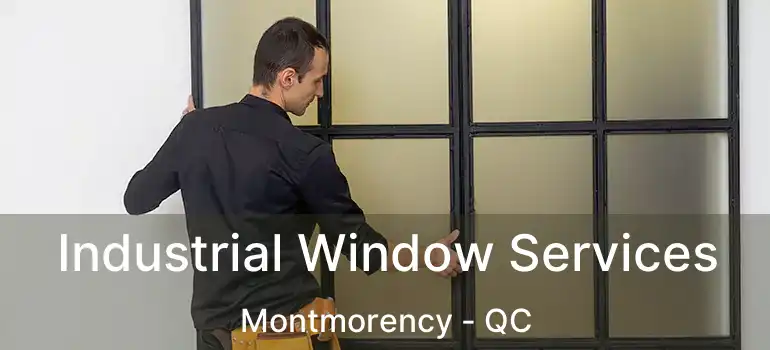  Industrial Window Services Montmorency - QC