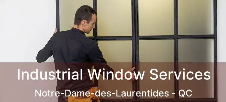  Industrial Window Services Notre-Dame-des-Laurentides - QC