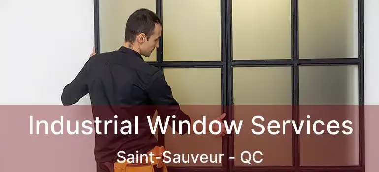  Industrial Window Services Saint-Sauveur - QC