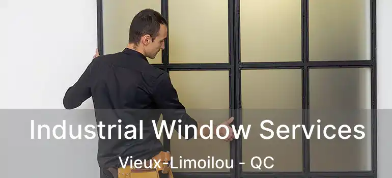  Industrial Window Services Vieux-Limoilou - QC