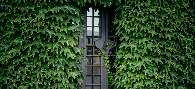 Garden Gate Repair in Quebec City, QC