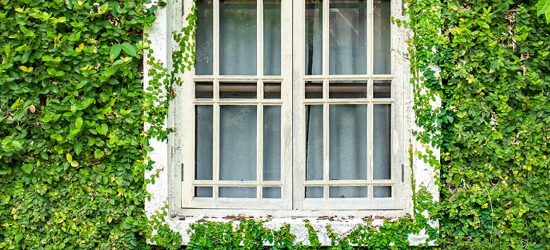 arden Window Repair Near Me in Laurentien, QC