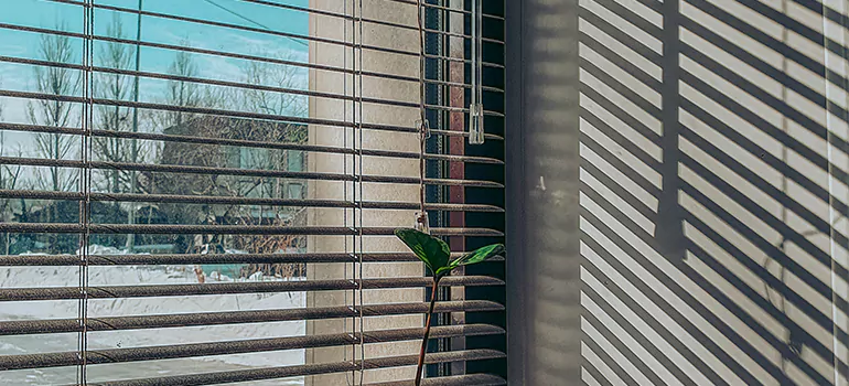 Commercial Window Blinds in Quebec City, QC
