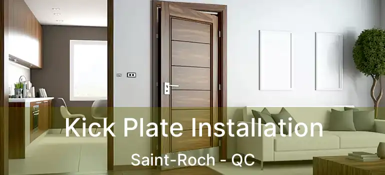  Kick Plate Installation Saint-Roch - QC