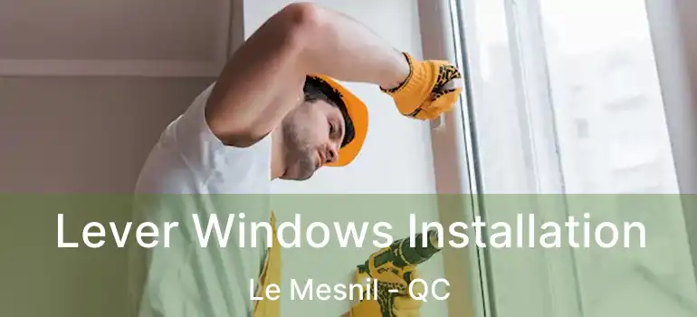  Lever Windows Installation Le Mesnil - QC