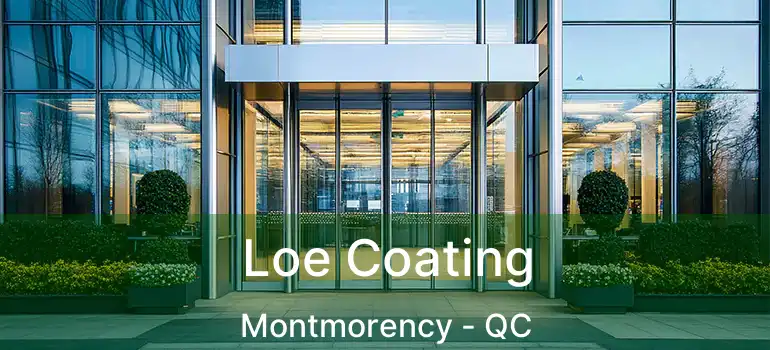  Loe Coating Montmorency - QC