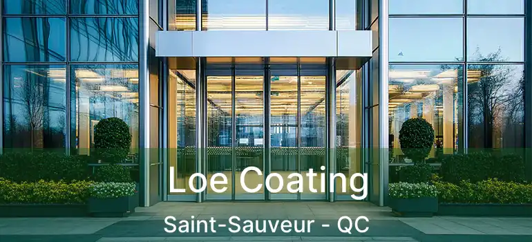  Loe Coating Saint-Sauveur - QC