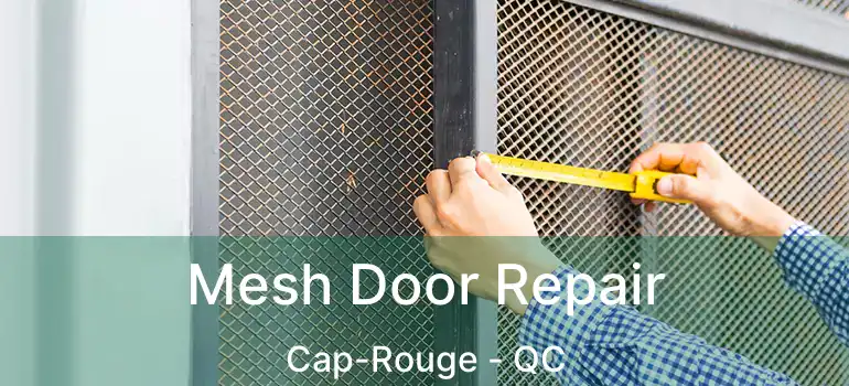  Mesh Door Repair Cap-Rouge - QC