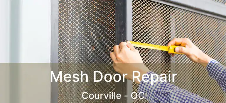  Mesh Door Repair Courville - QC