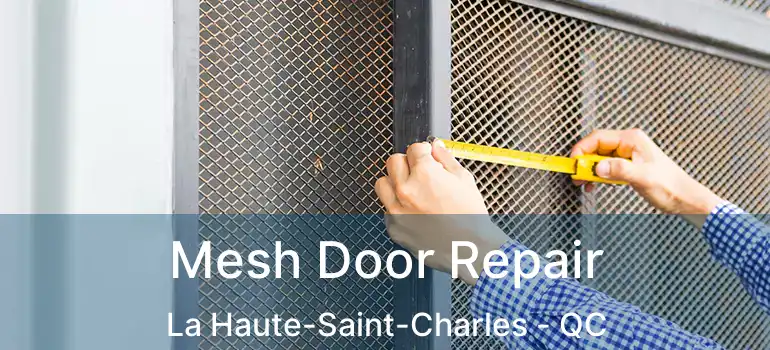  Mesh Door Repair La Haute-Saint-Charles - QC