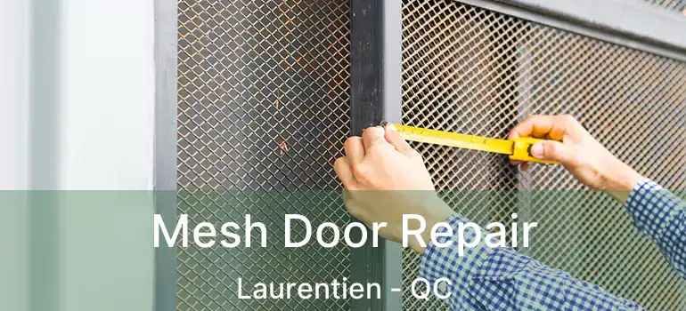  Mesh Door Repair Laurentien - QC