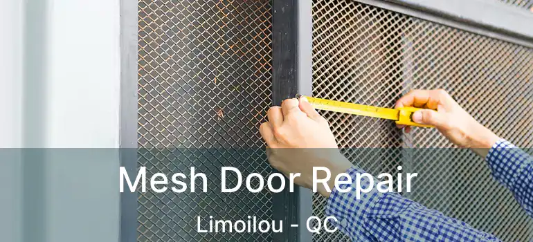  Mesh Door Repair Limoilou - QC