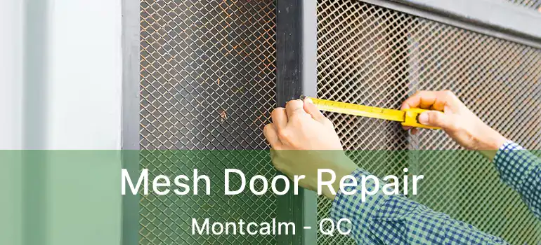  Mesh Door Repair Montcalm - QC