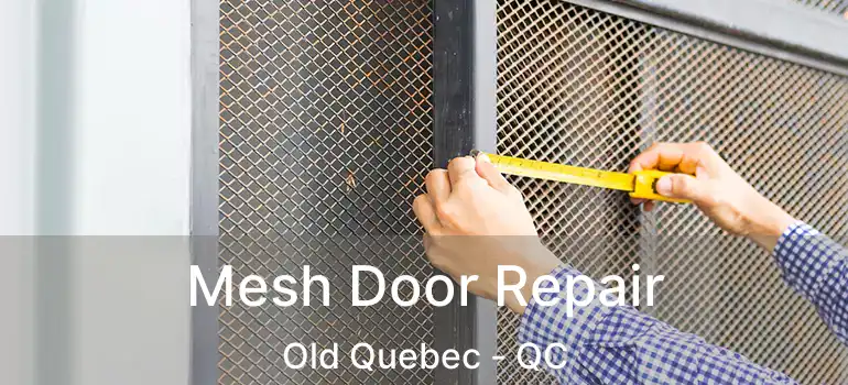  Mesh Door Repair Old Quebec - QC