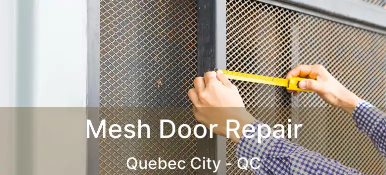  Mesh Door Repair Quebec City - QC