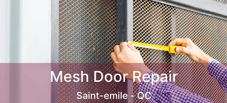  Mesh Door Repair Saint-emile - QC