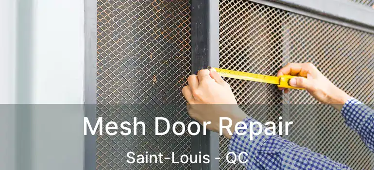  Mesh Door Repair Saint-Louis - QC