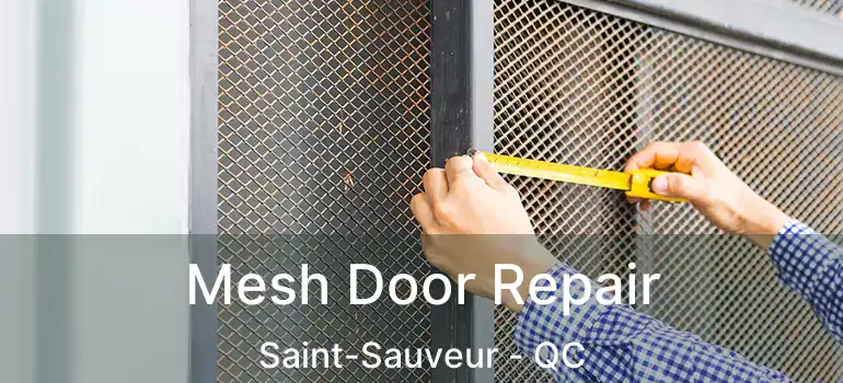 Mesh Door Repair Saint-Sauveur - QC