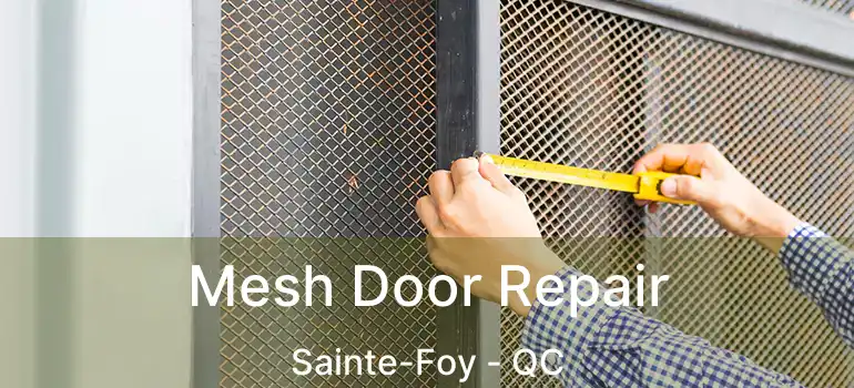  Mesh Door Repair Sainte-Foy - QC