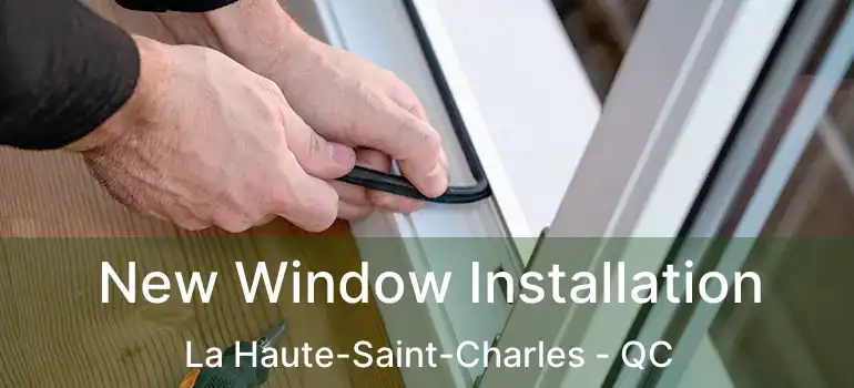  New Window Installation La Haute-Saint-Charles - QC