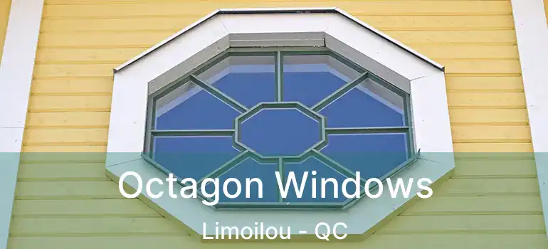  Octagon Windows Limoilou - QC