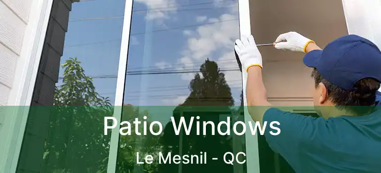  Patio Windows Le Mesnil - QC