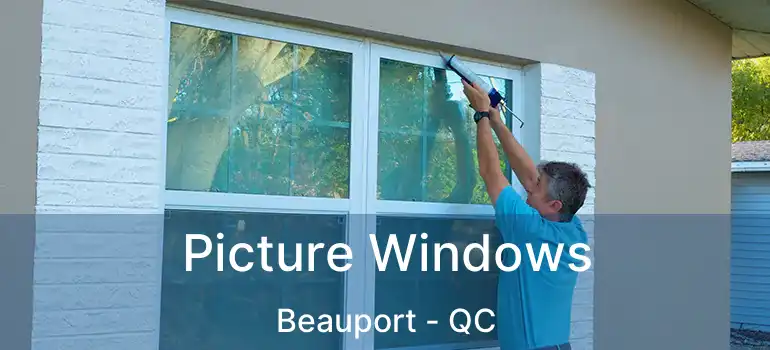  Picture Windows Beauport - QC