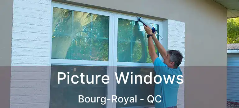  Picture Windows Bourg-Royal - QC
