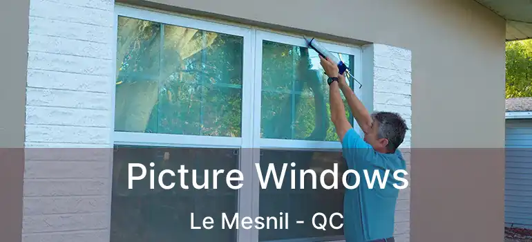  Picture Windows Le Mesnil - QC