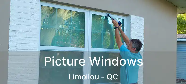  Picture Windows Limoilou - QC