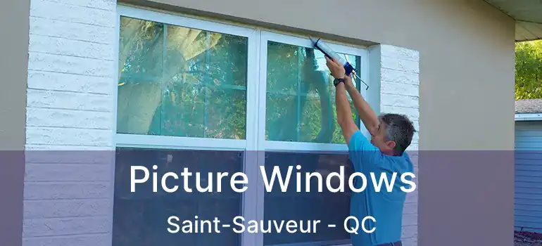  Picture Windows Saint-Sauveur - QC