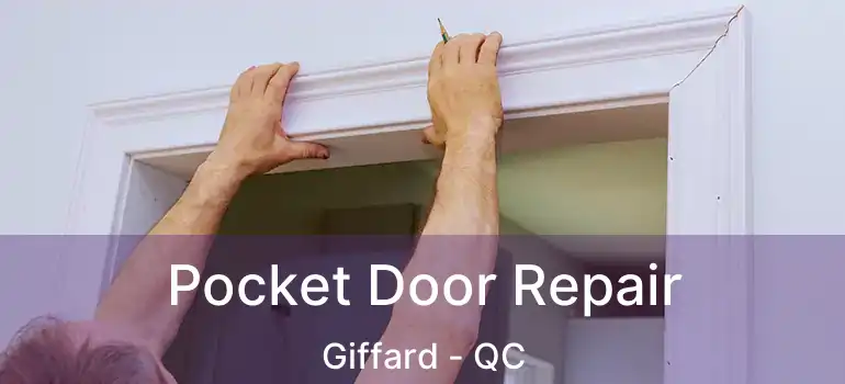  Pocket Door Repair Giffard - QC