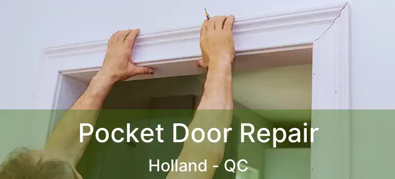  Pocket Door Repair Holland - QC