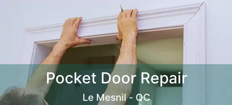  Pocket Door Repair Le Mesnil - QC