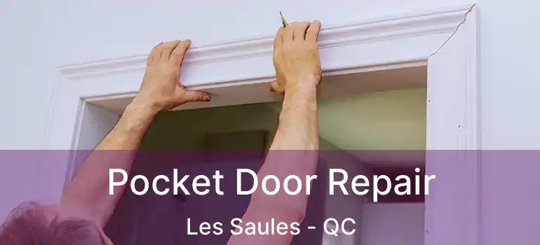  Pocket Door Repair Les Saules - QC