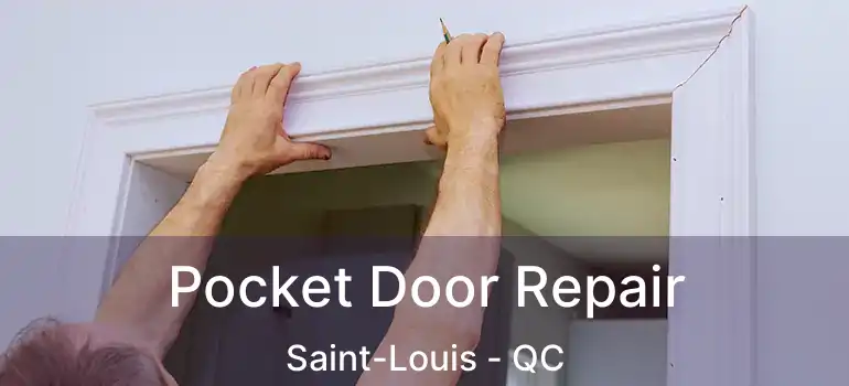  Pocket Door Repair Saint-Louis - QC