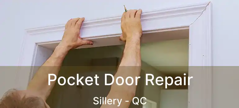  Pocket Door Repair Sillery - QC