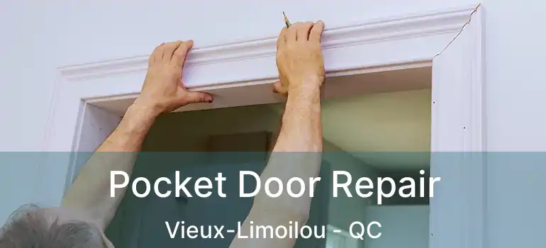  Pocket Door Repair Vieux-Limoilou - QC