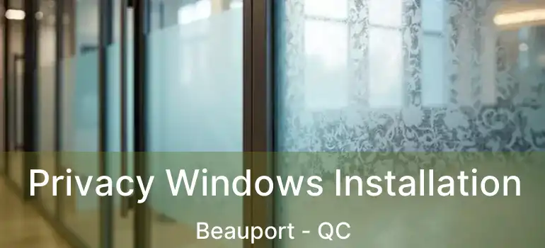  Privacy Windows Installation Beauport - QC
