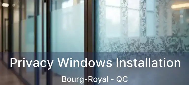  Privacy Windows Installation Bourg-Royal - QC