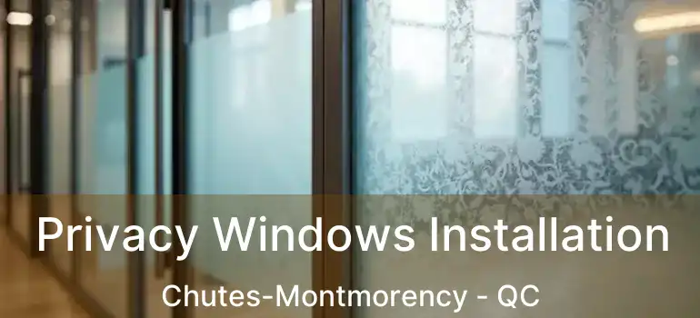  Privacy Windows Installation Chutes-Montmorency - QC