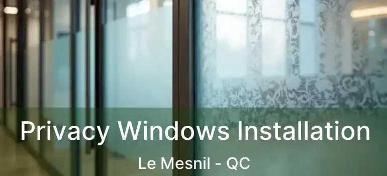 Privacy Windows Installation Le Mesnil - QC